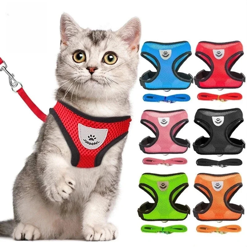 🐾 Peitoral Antiderrapante para Cães e Gatos com Guia – Conforto e Segurança para Passeios