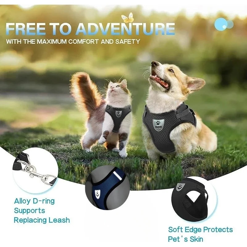 🐾 Peitoral Antiderrapante para Cães e Gatos com Guia – Conforto e Segurança para Passeios